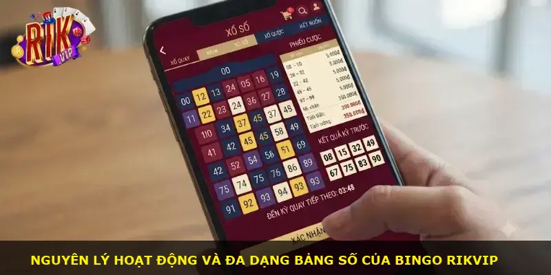 Xổ số Bingo Rikvip - ảnh 2